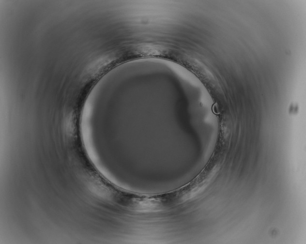 X0000102040359200808011516