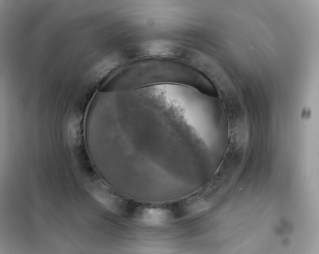 X0000102040360200808011516