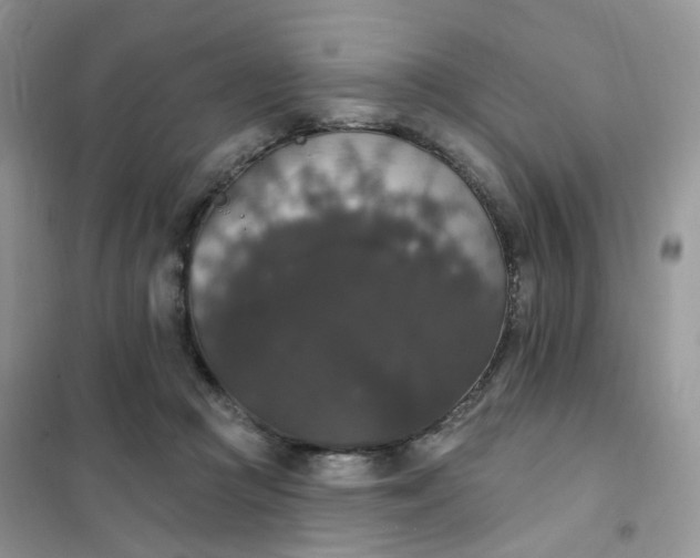 X0000102040361200808011516