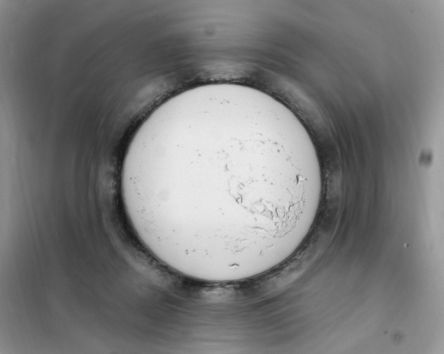 X0000102040362200808011516