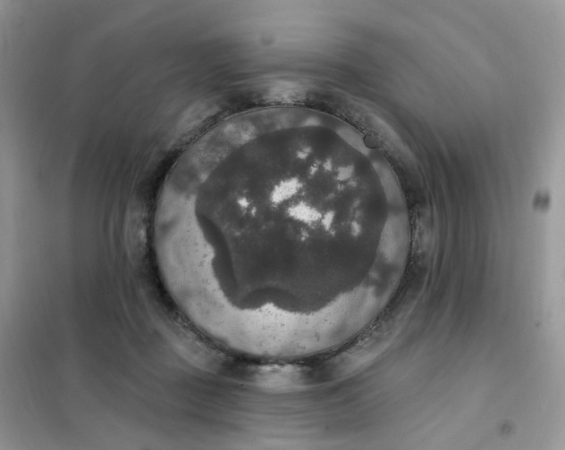 X0000102040363200808011516