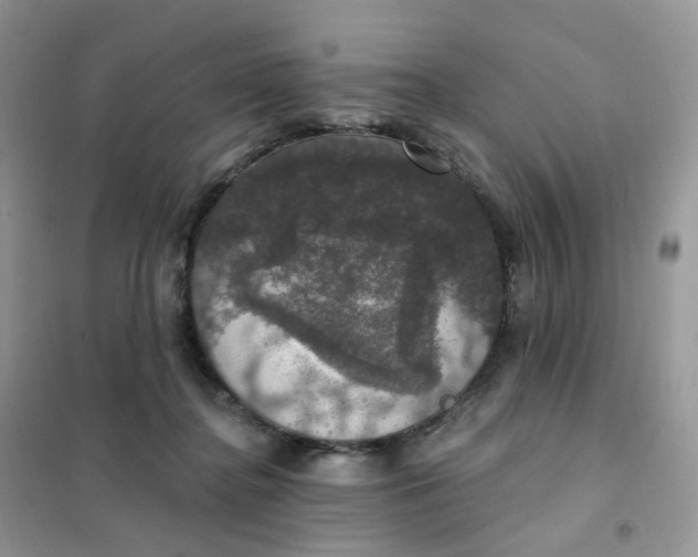 X0000102040364200808011516