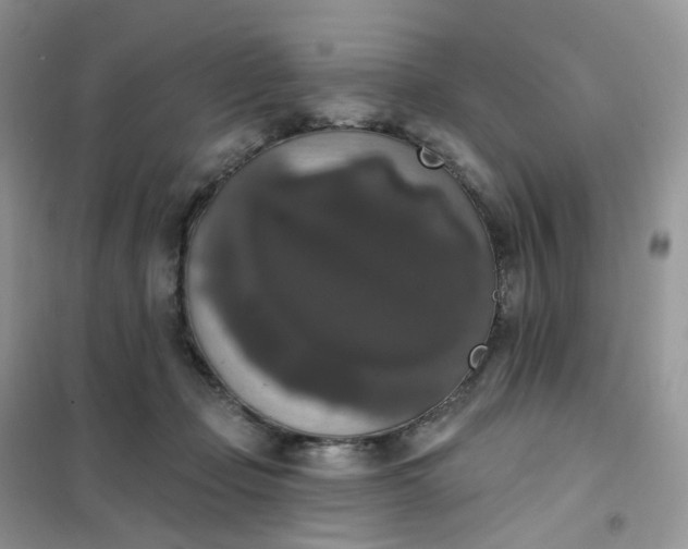 X0000102040365200808011516