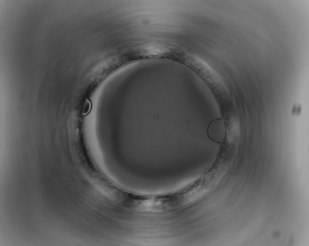 X0000102040366200808011516