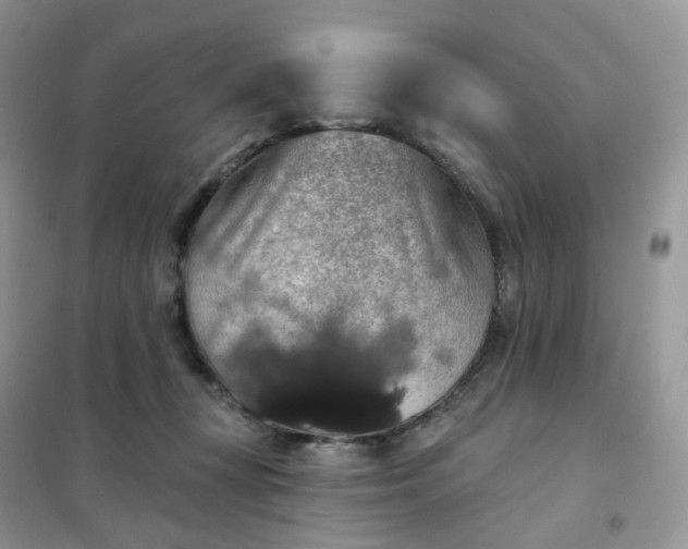 X0000102040367200808011516