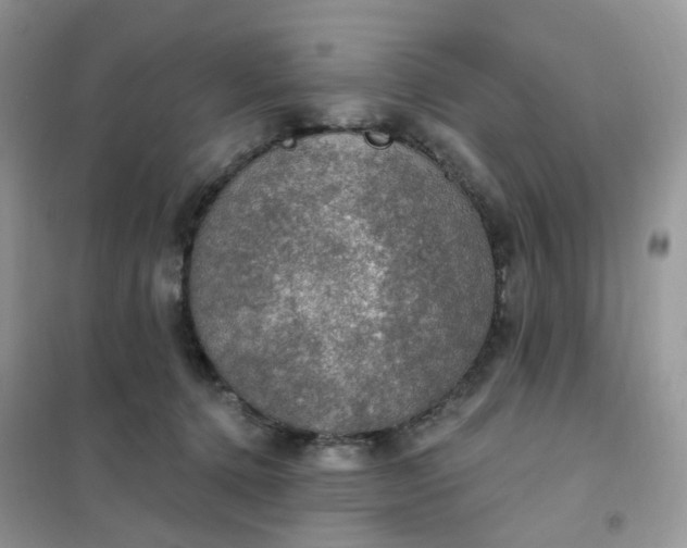 X0000102040368200808011516