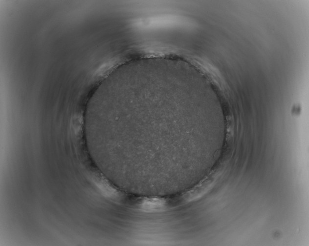 X0000102040369200808011516