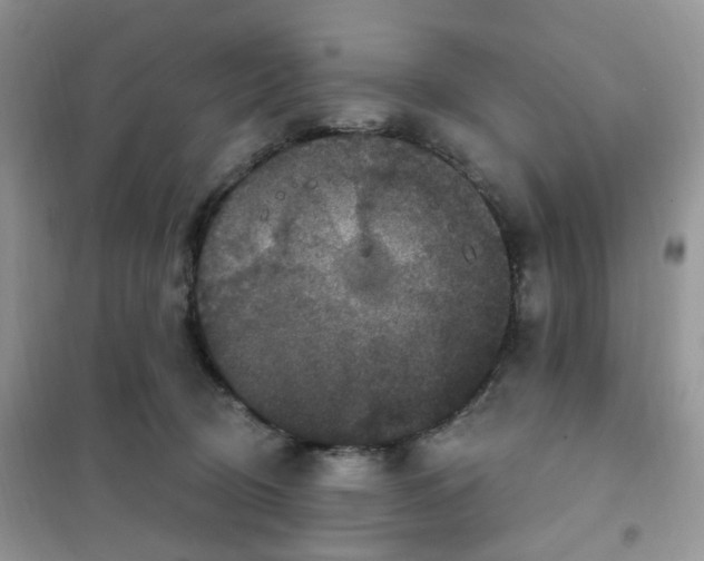 X0000102040370200808011516