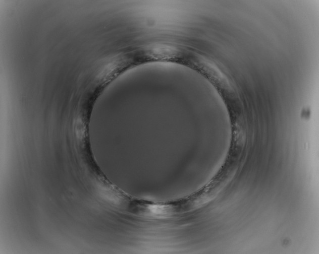 X0000102040371200808011516