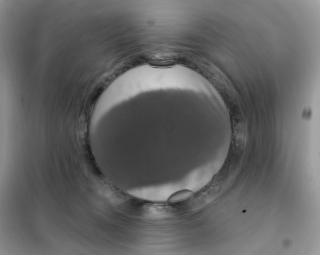 X0000102040372200808011516