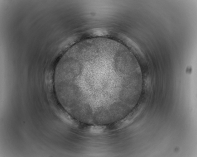 X0000102040373200808011516