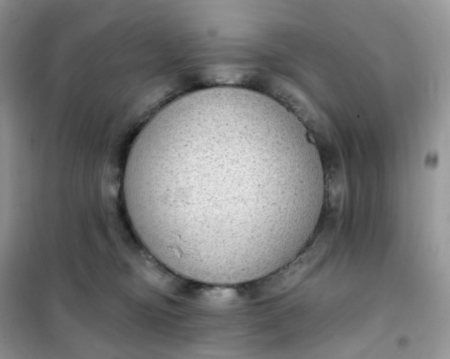 X0000102040374200808011516