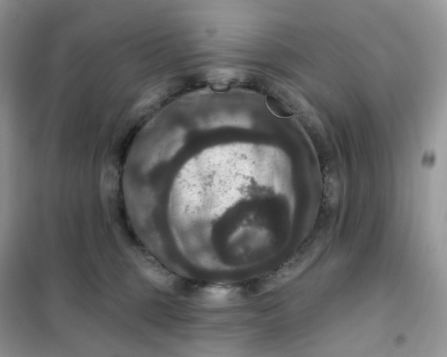 X0000102040375200808011516