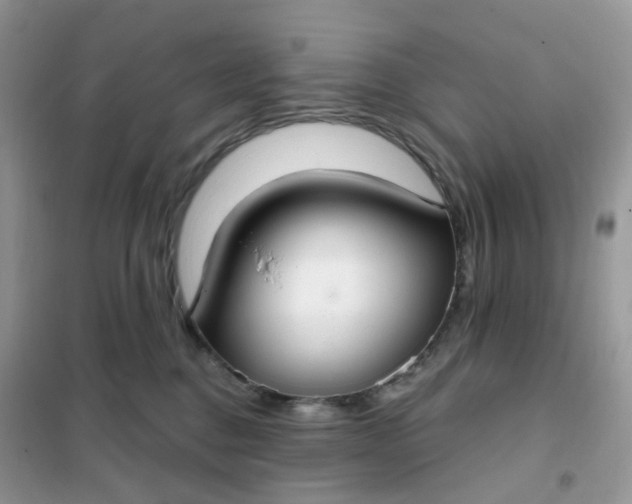 X0000102040376200808011516