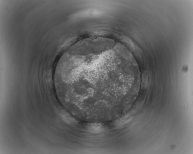 X0000102040377200808011516