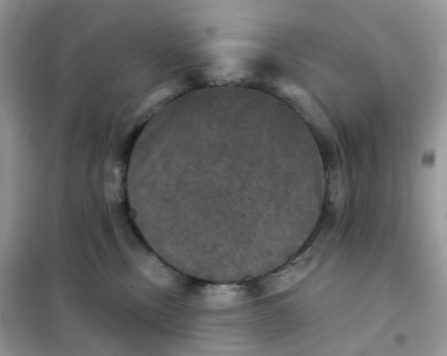 X0000102040378200808011516