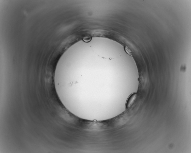 X0000102040379200808011516