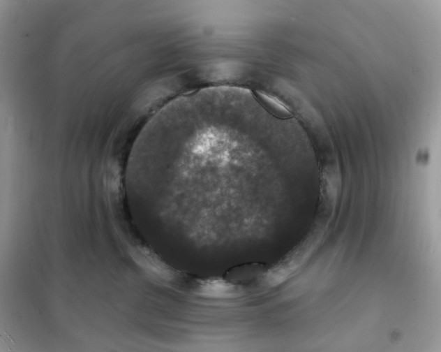 X0000102040380200808011516