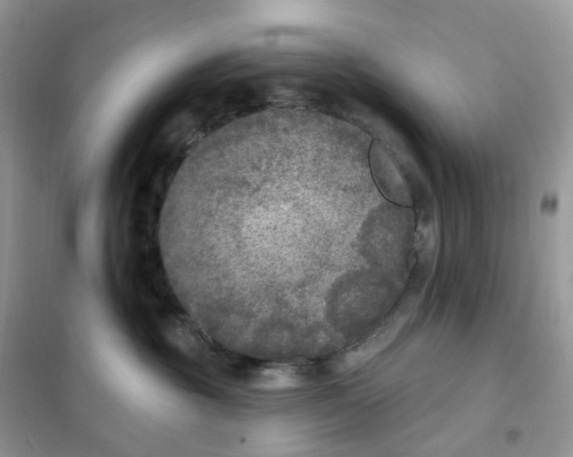 X0000102040381200808011516