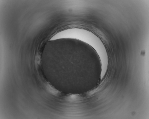 X0000102040382200808011516