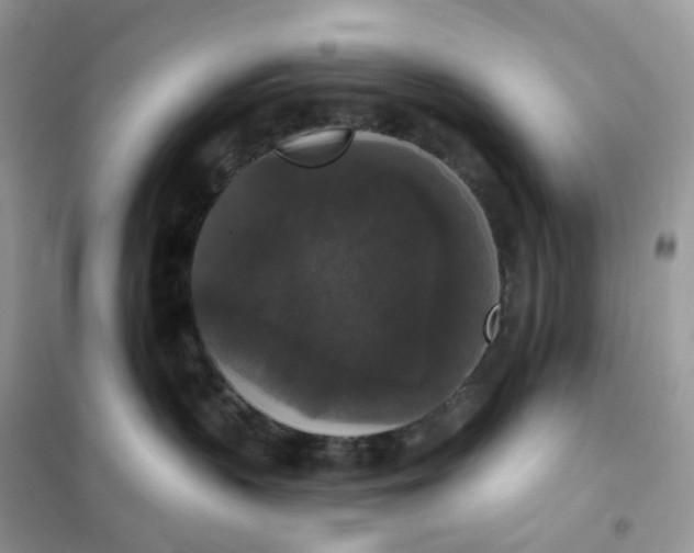 X0000102040383200808011516