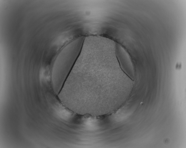 X0000102040384200808011516