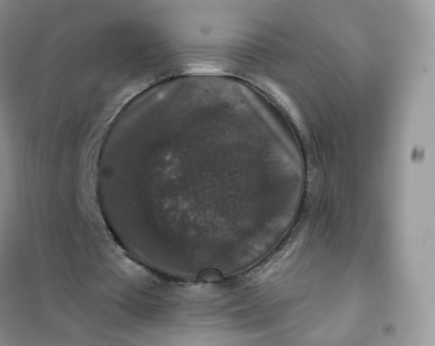 X0000102040385200808011515