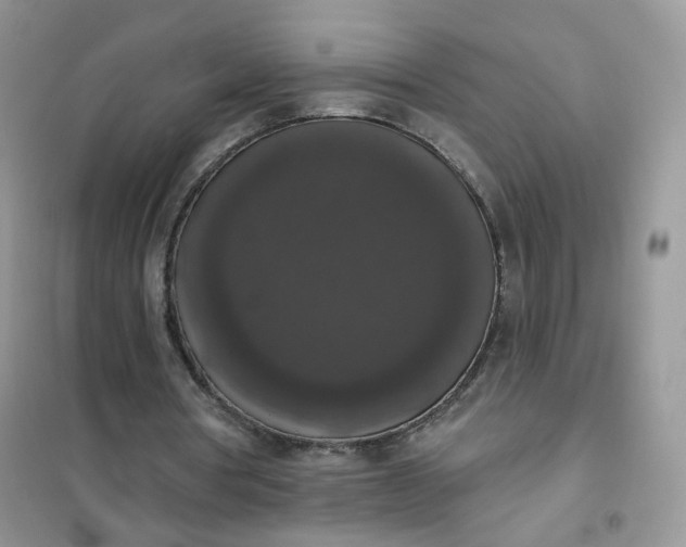 X0000102040386200808011515