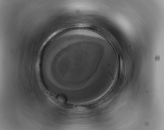 X0000102040387200808011515