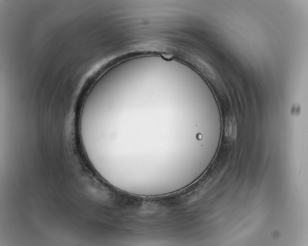 X0000102040388200808011515