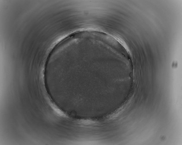 X0000102040389200808011515