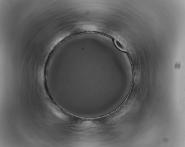 X0000102040390200808011515