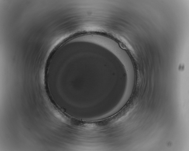 X0000102040391200808011515