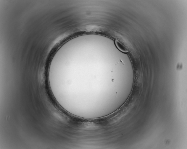 X0000102040392200808011515