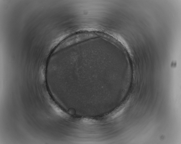 X0000102040393200808011515