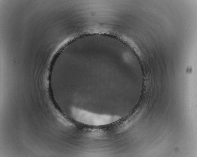 X0000102040395200808011515