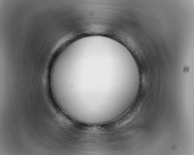 X0000102040396200808011515