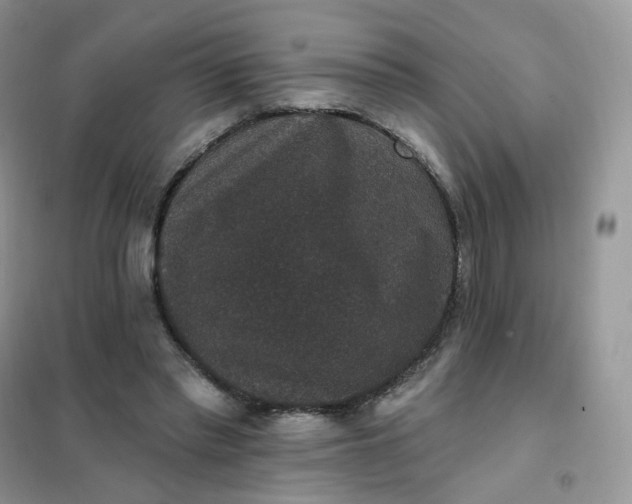 X0000102040397200808011515