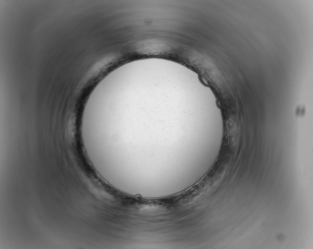 X0000102040400200808011515