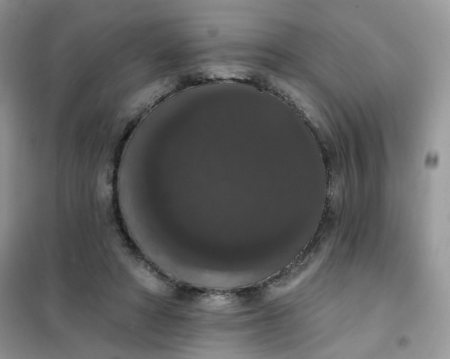 X0000102040402200808011515