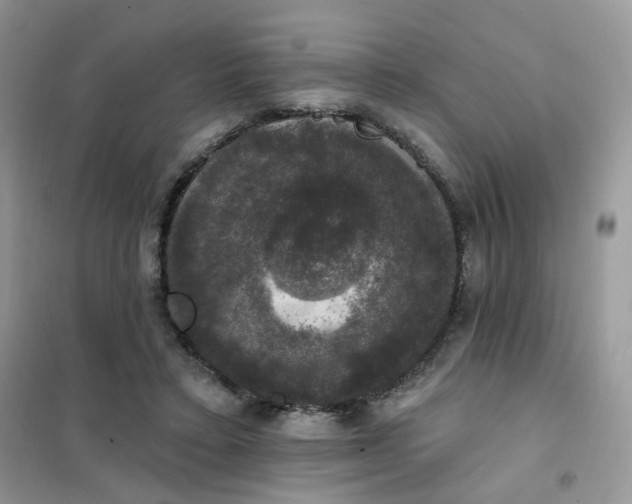 X0000102040403200808011515