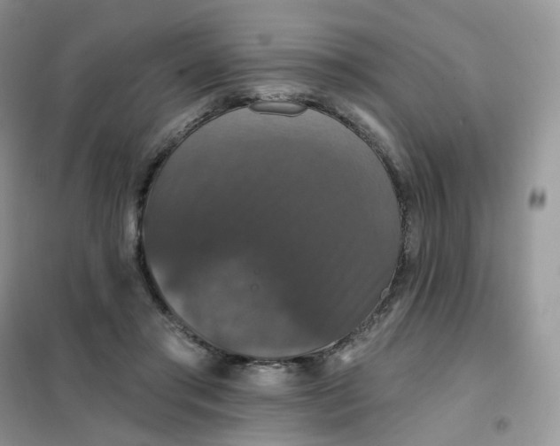 X0000102040405200808011515