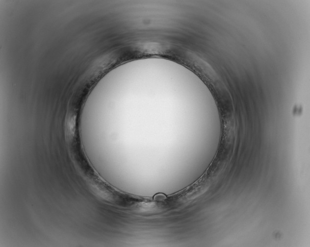 X0000102040406200808011515