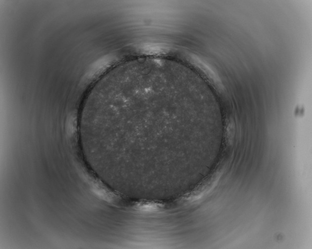 X0000102040407200808011515