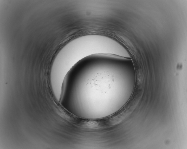 X0000102040409200808011515