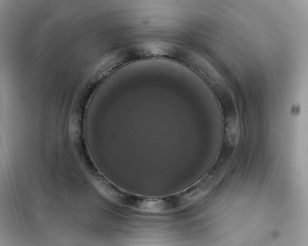 X0000102040410200808011515