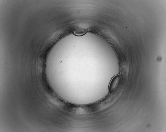 X0000102040412200808011515