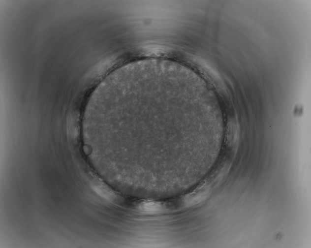 X0000102040413200808011515