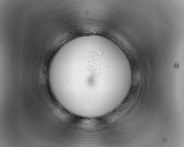 X0000102040414200808011515