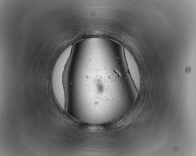 X0000102040415200808011515